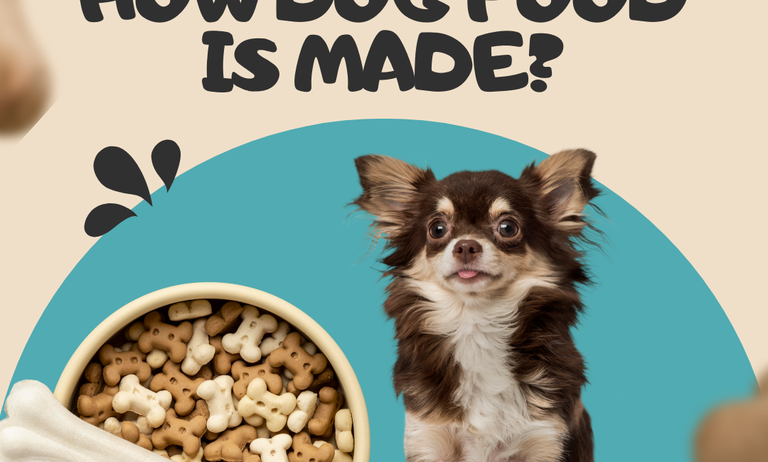 How dog food is made