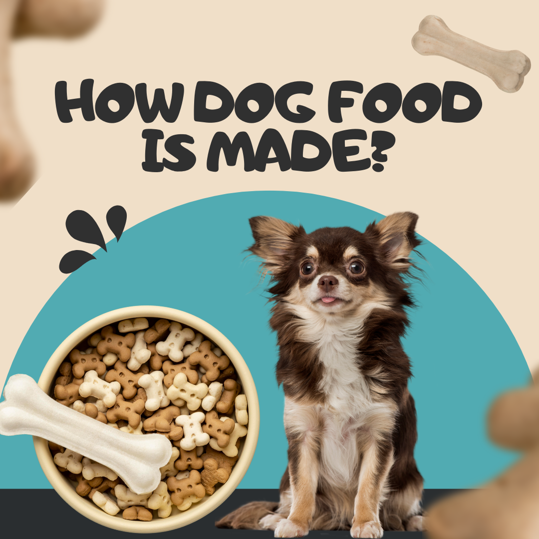 How dog food is made