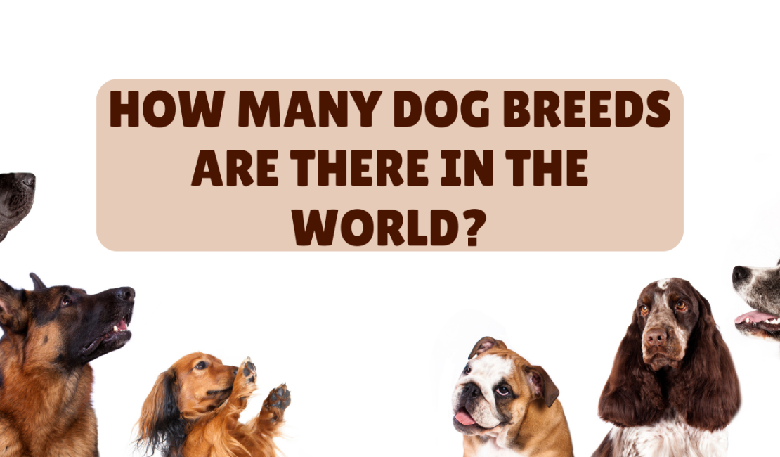 How many dog breeds are there in the world