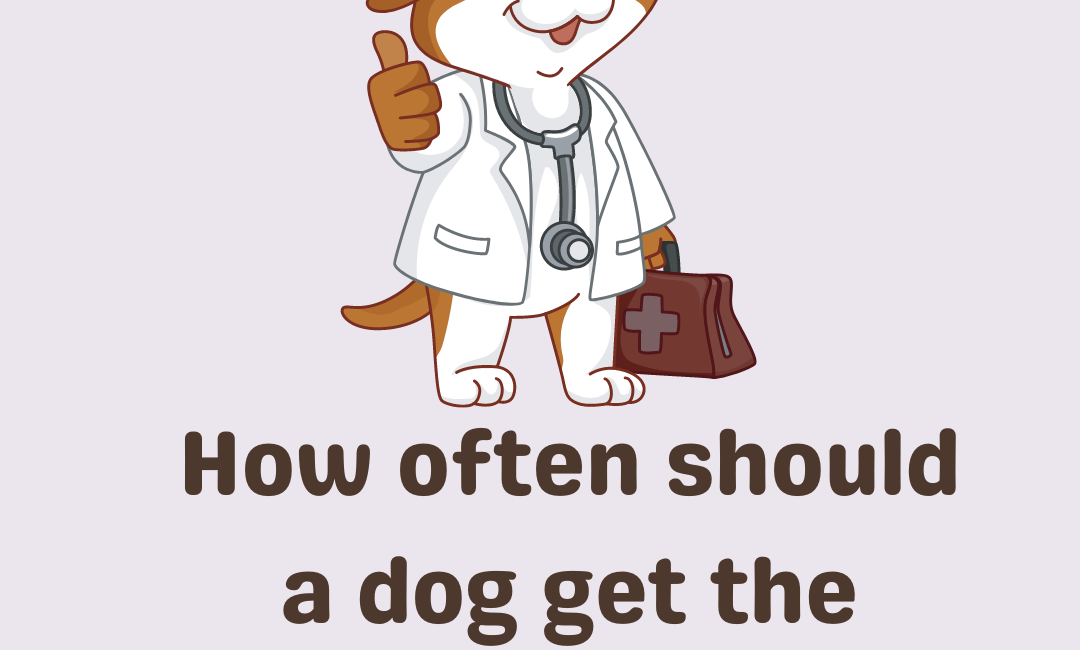 How often should a dog get the rabies vaccine?