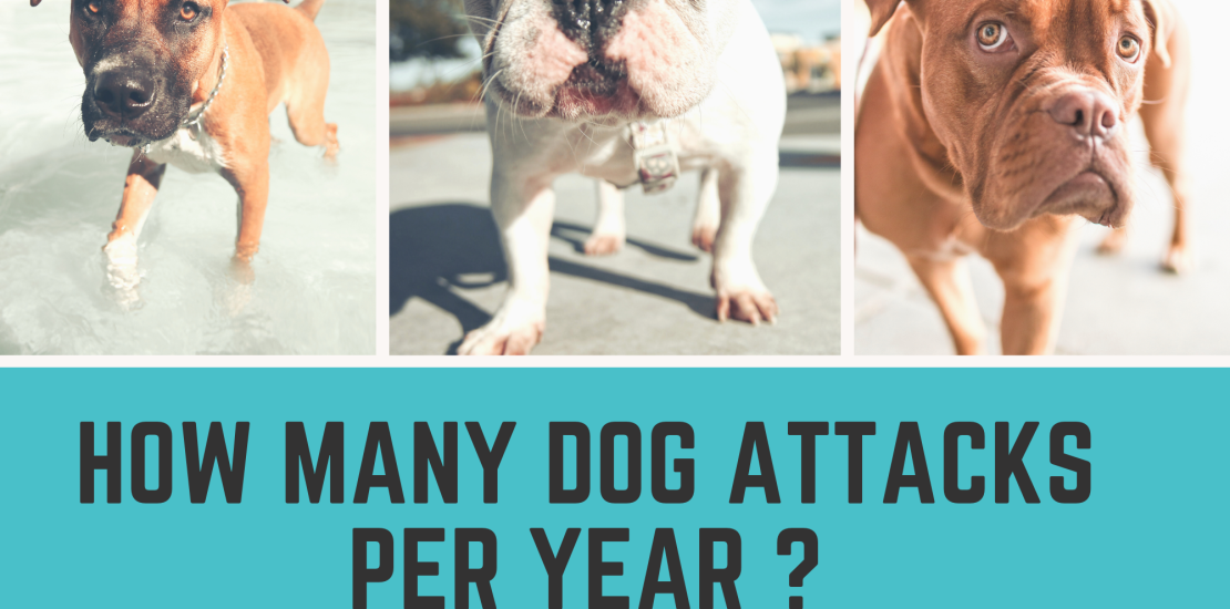 how many dog attacks per year