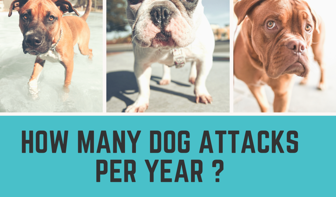 how many dog attacks per year