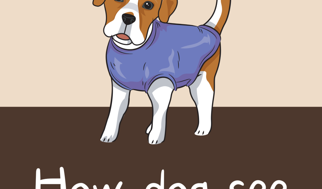 How dog see the world