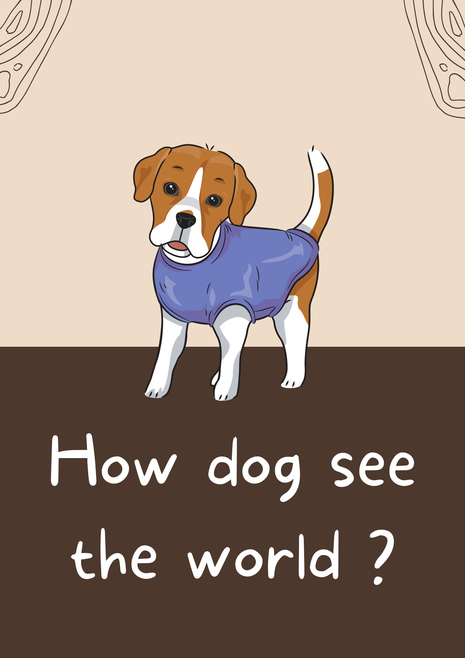 How dog see the world