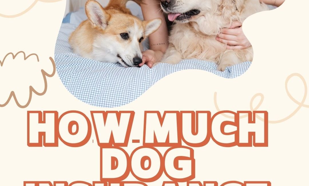 How much dog insurance cost