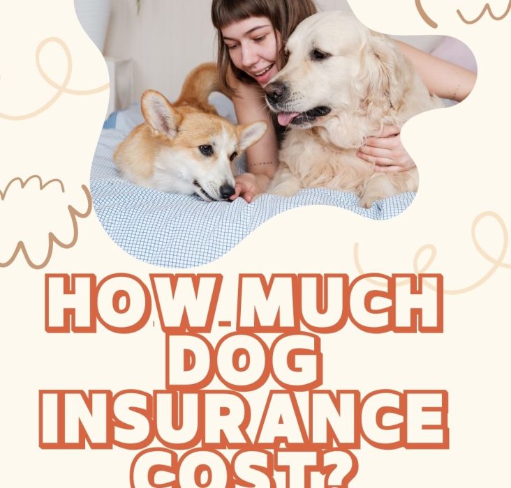 How much dog insurance cost? Cuddlytails