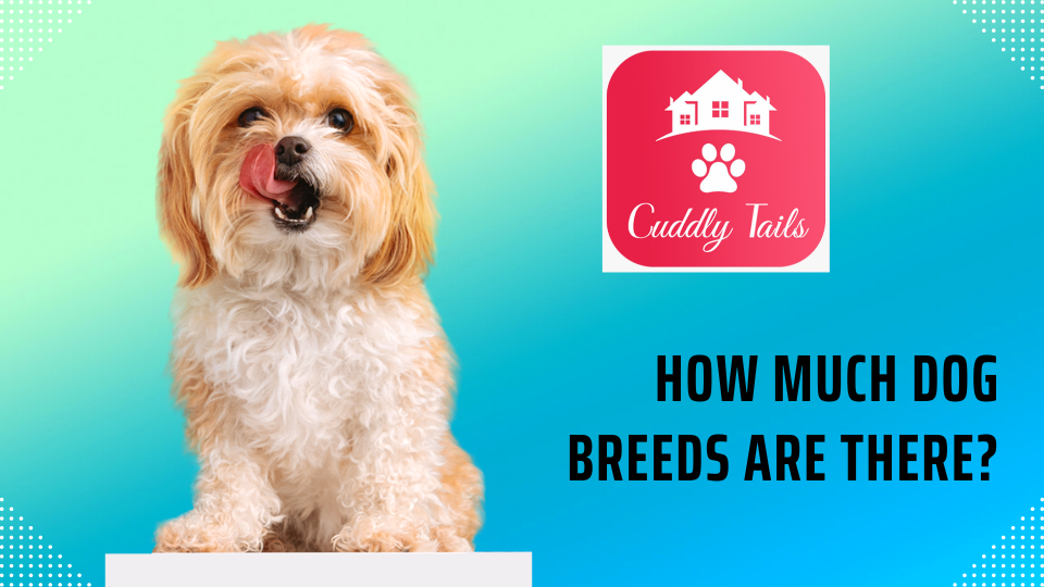 How much dog breeds are there?