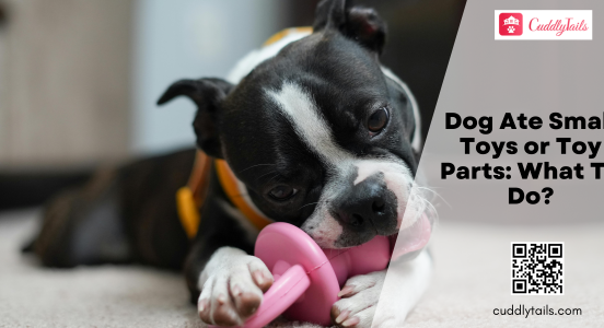 Dog Ate Small Toys or Toy Parts What To Do