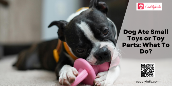 Dog Ate Small Toys or Toy Parts What To Do