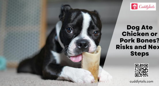 Dog Ate Chicken or Pork Bones? Risks and Next Steps