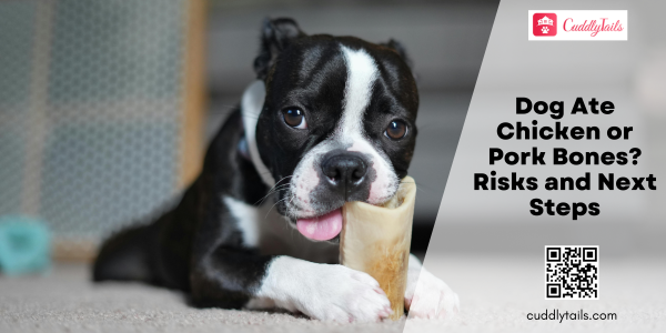 Dog Ate Chicken or Pork Bones? Risks and Next Steps