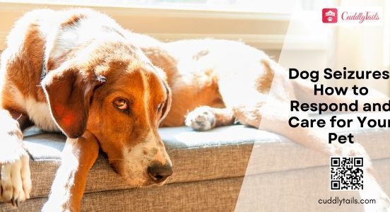 Dog Seizures How to Respond and Care for Your Pet