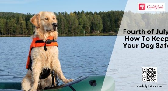 Fourth of July How To Keep Your Dog Safe
