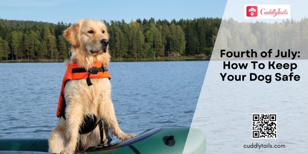 Fourth of July How To Keep Your Dog Safe
