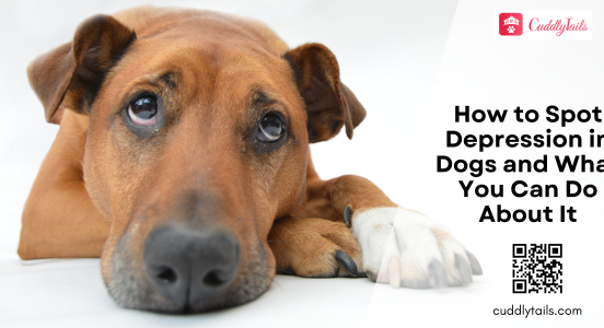 How to Spot Depression in Dogs and What You Can Do About It