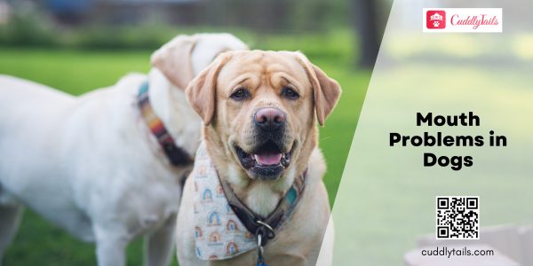Mouth Problems in Dogs