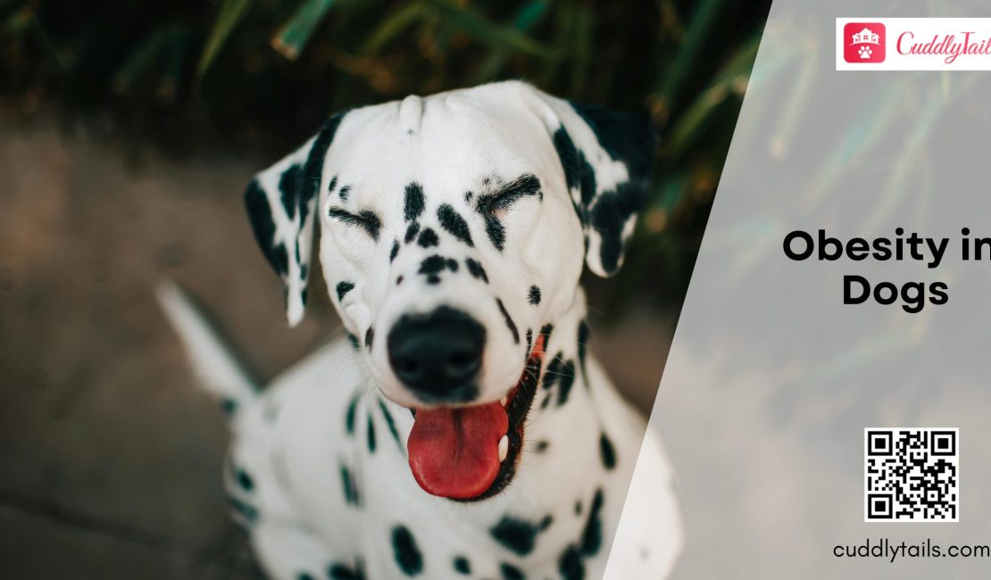 Obesity in Dogs