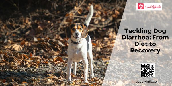 Tackling Dog Diarrhea From Diet to Recovery