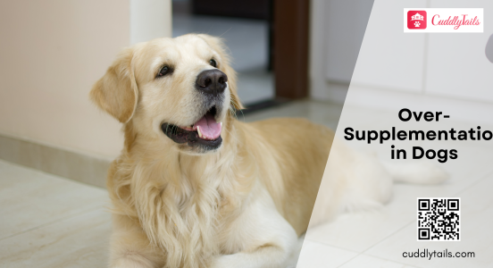 Over-Supplementation in Dogs