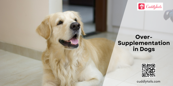 Over-Supplementation in Dogs