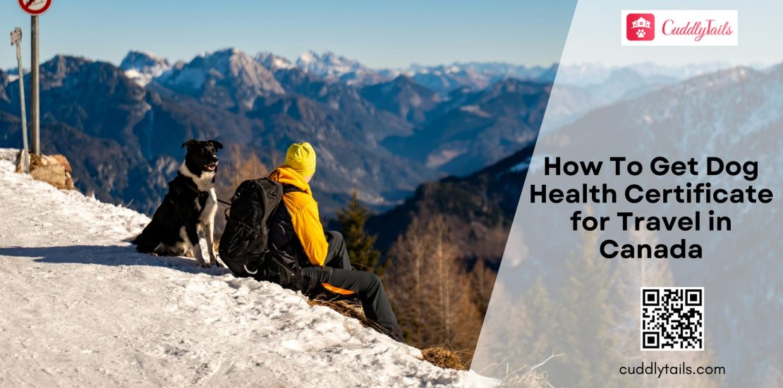 How To Get Dog Health Certificate for Travel in Canada