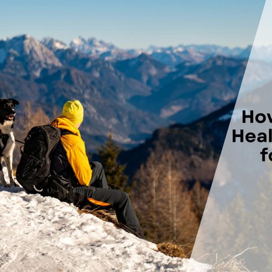 How To Get Dog Health Certificate for Travel in Canada