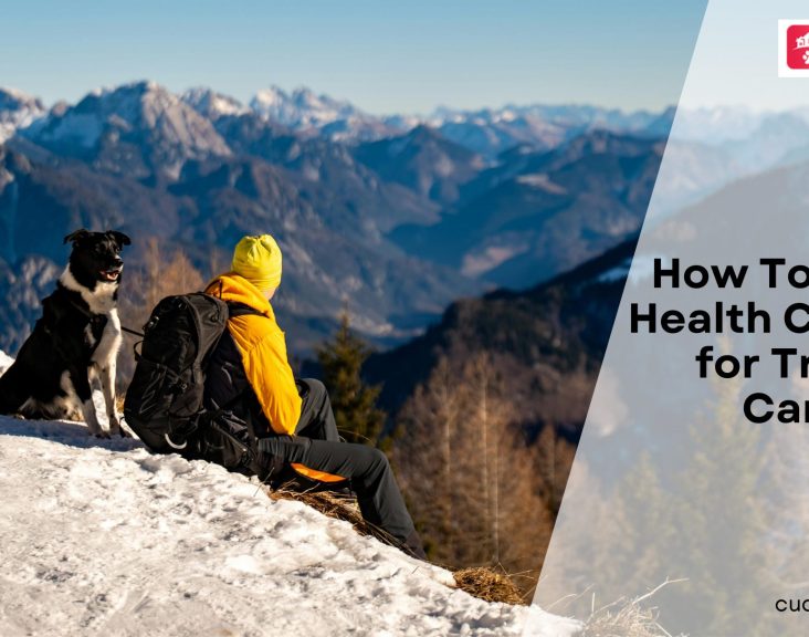 How To Get Dog Health Certificate for Travel in Canada