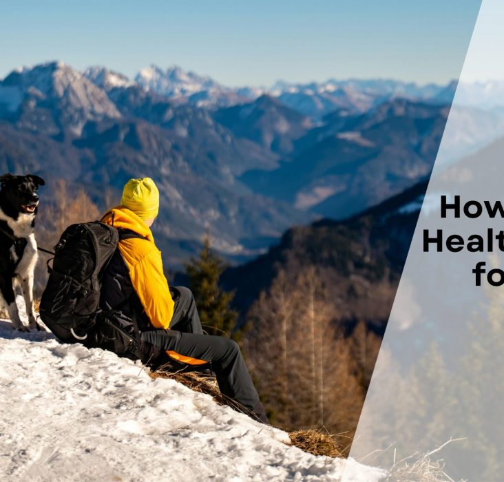 How To Get Dog Health Certificate for Travel in Canada