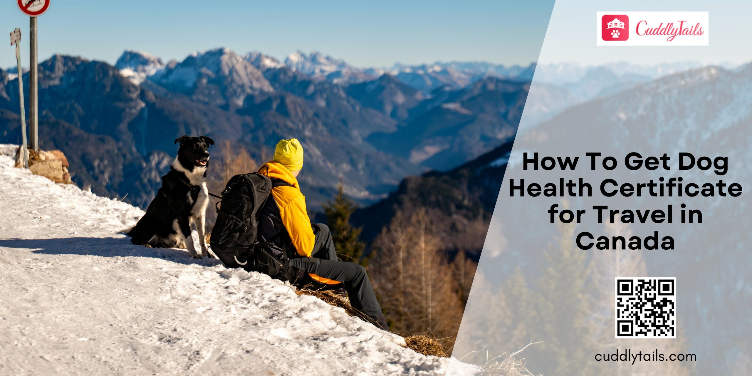 How To Get Dog Health Certificate for Travel in Canada