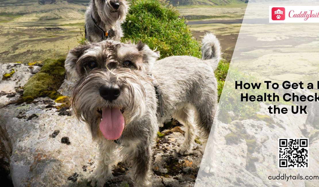 How To Get a Dog Health Check in the UK