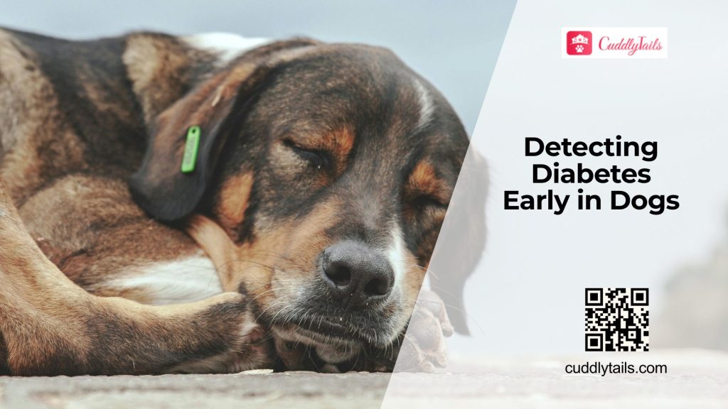 Early Riser Dog Early Diabetes Signs in Dogs - Cuddlytails