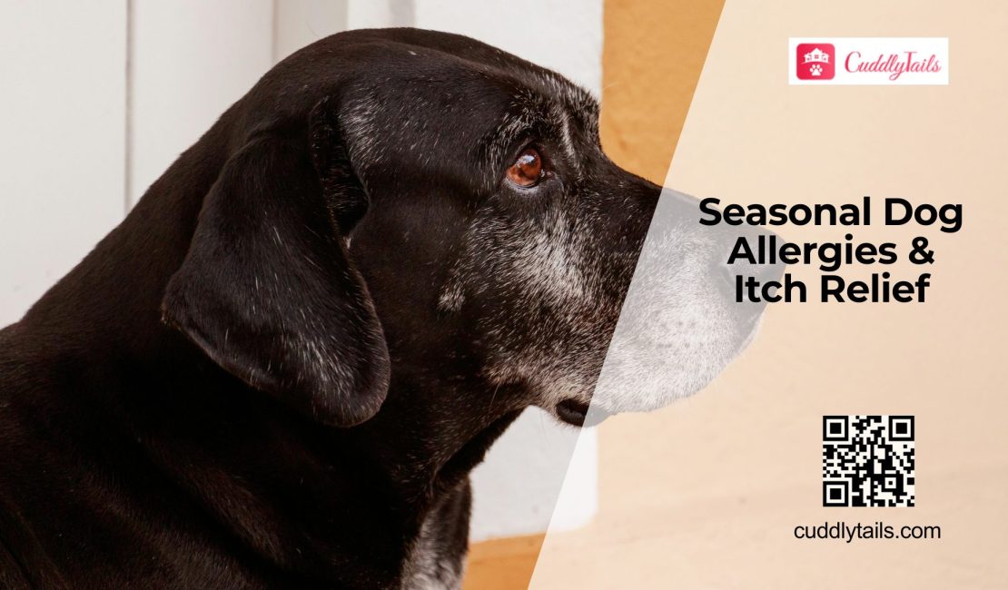Dog Allergy Season: Stop the Scratching