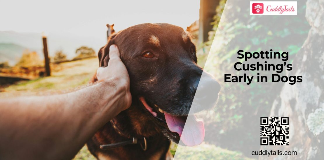 Increased Water Intake and Unexplained Hair Loss