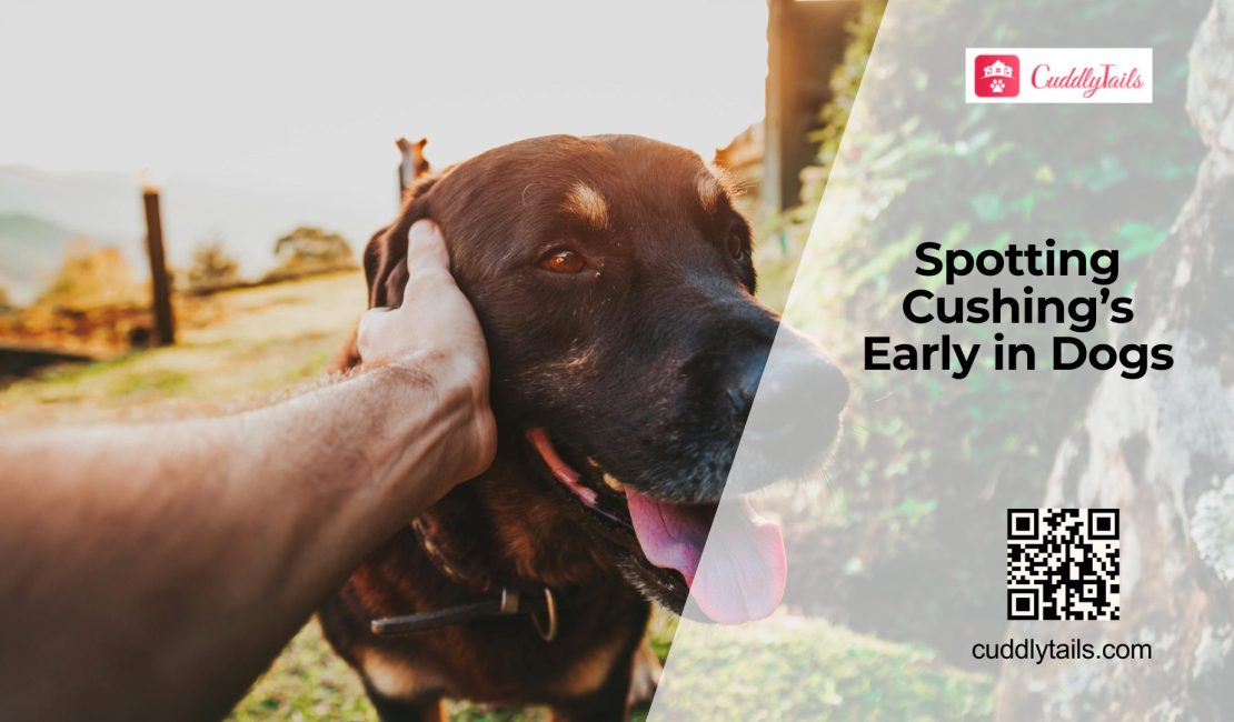 Increased Water Intake and Unexplained Hair Loss