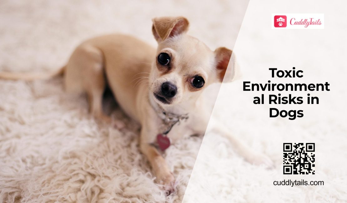 Environmental Toxins Affecting Dog Health