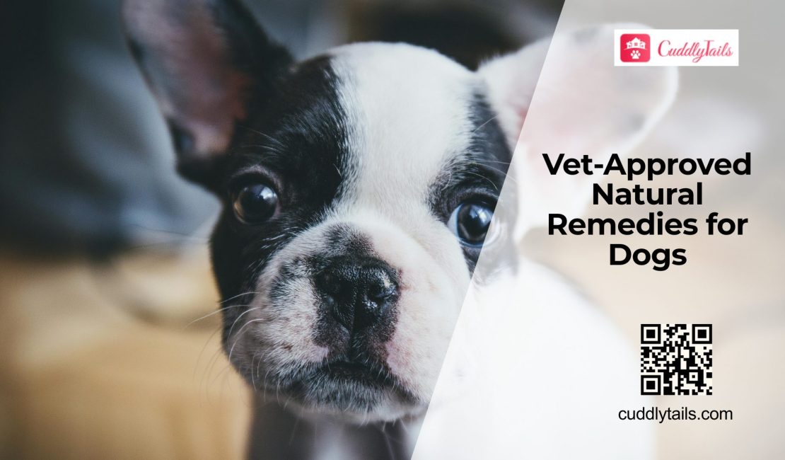Natural Remedies for Dogs: Helpful or Harmful?