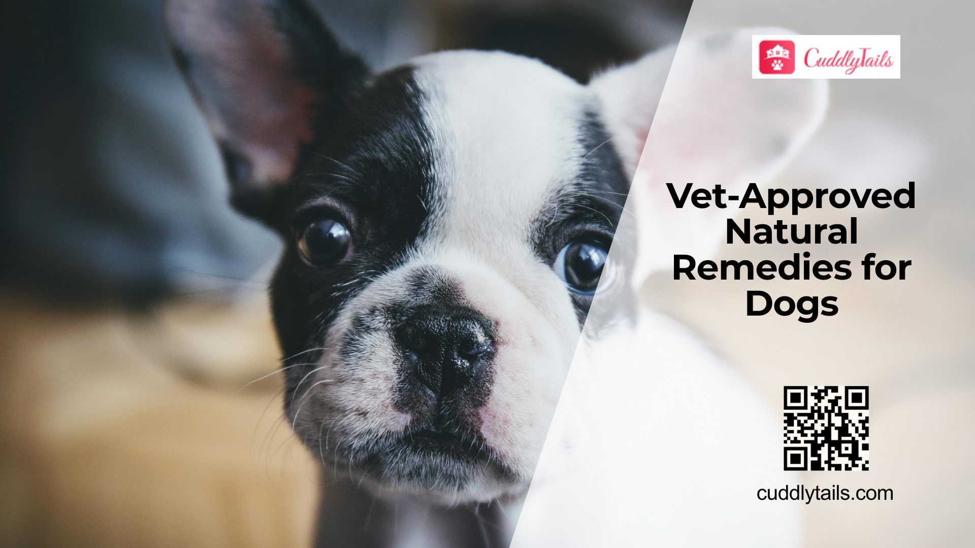 Natural Remedies for Dogs: Helpful or Harmful?