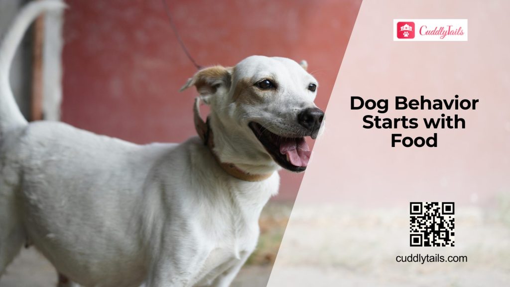 Can Food Change Your Dog’s Behavior - Cuddlytails