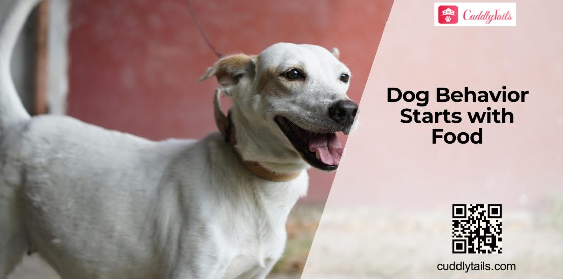 Can Food Change Your Dog’s Behavior