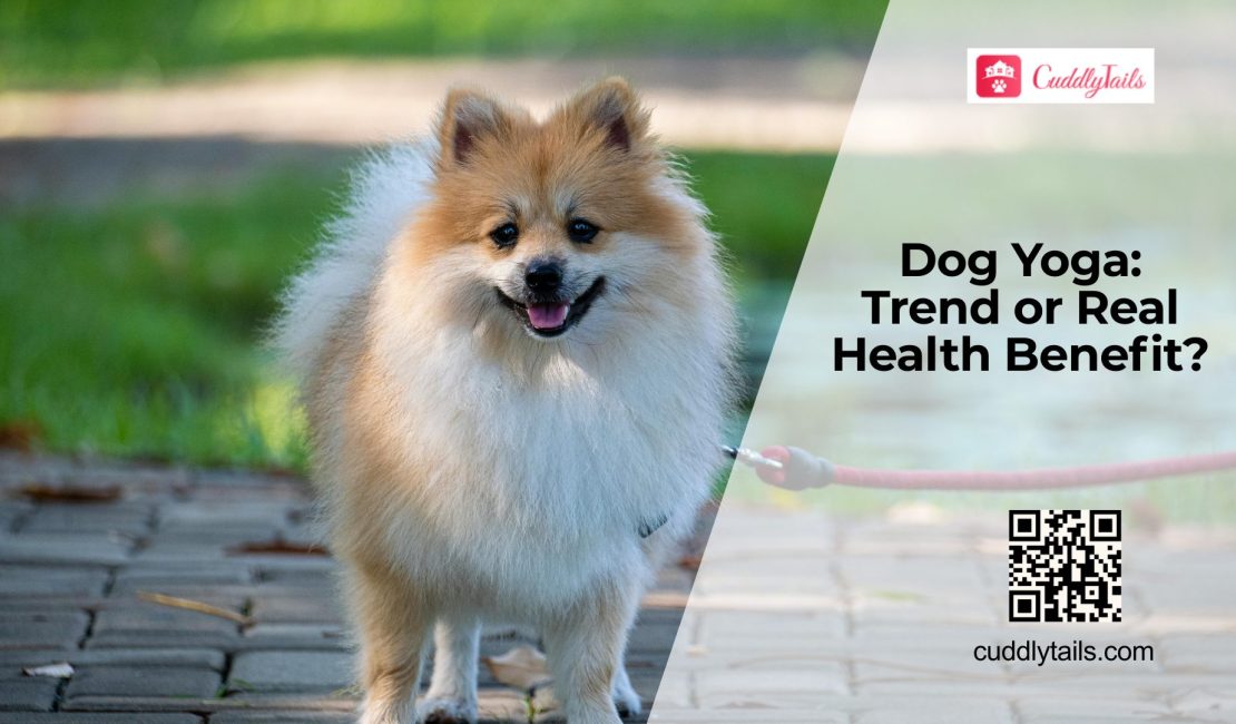 Doga (Yoga for Dogs): Does It Actually Improve Dog Health?