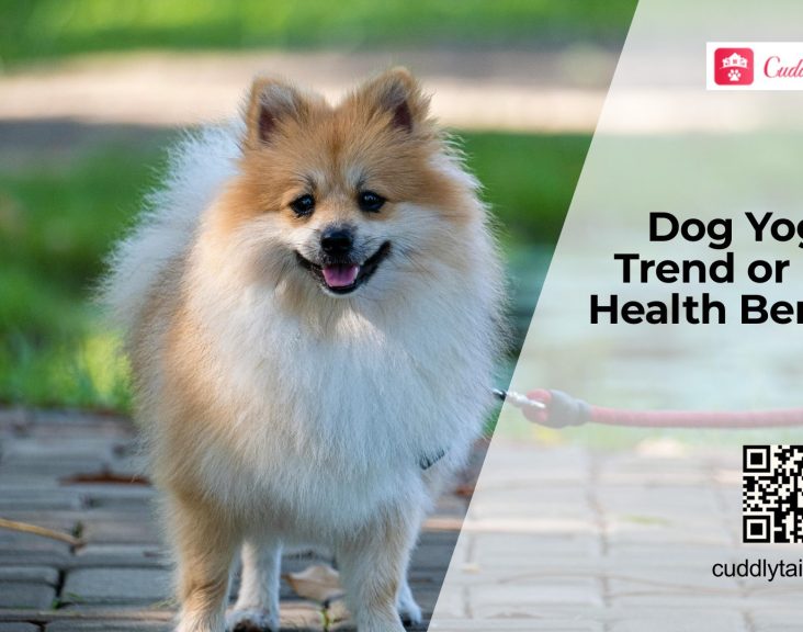 Doga (Yoga for Dogs): Does It Actually Improve Dog Health?