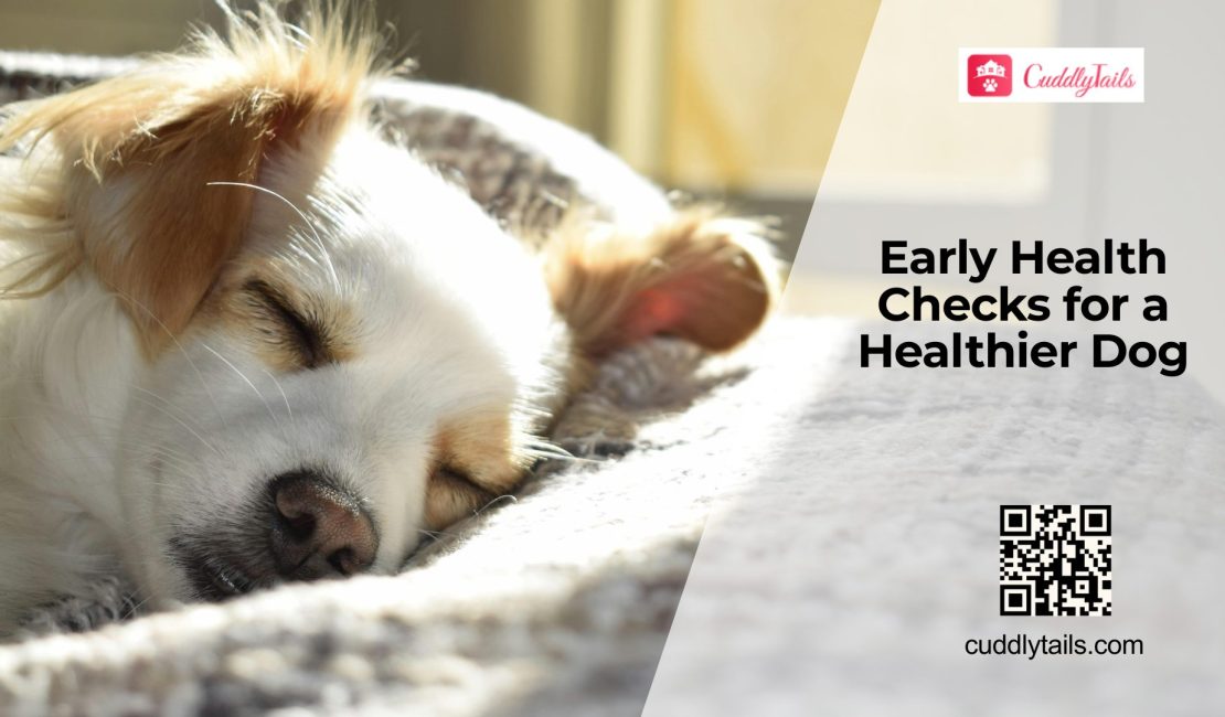 Preventive Health Screening Every Dog Owner Should Know