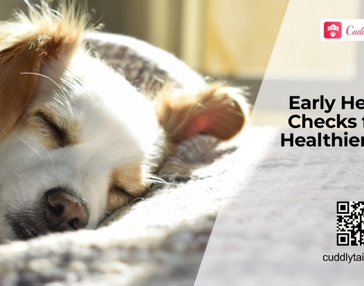 Preventive Health Screening Every Dog Owner Should Know