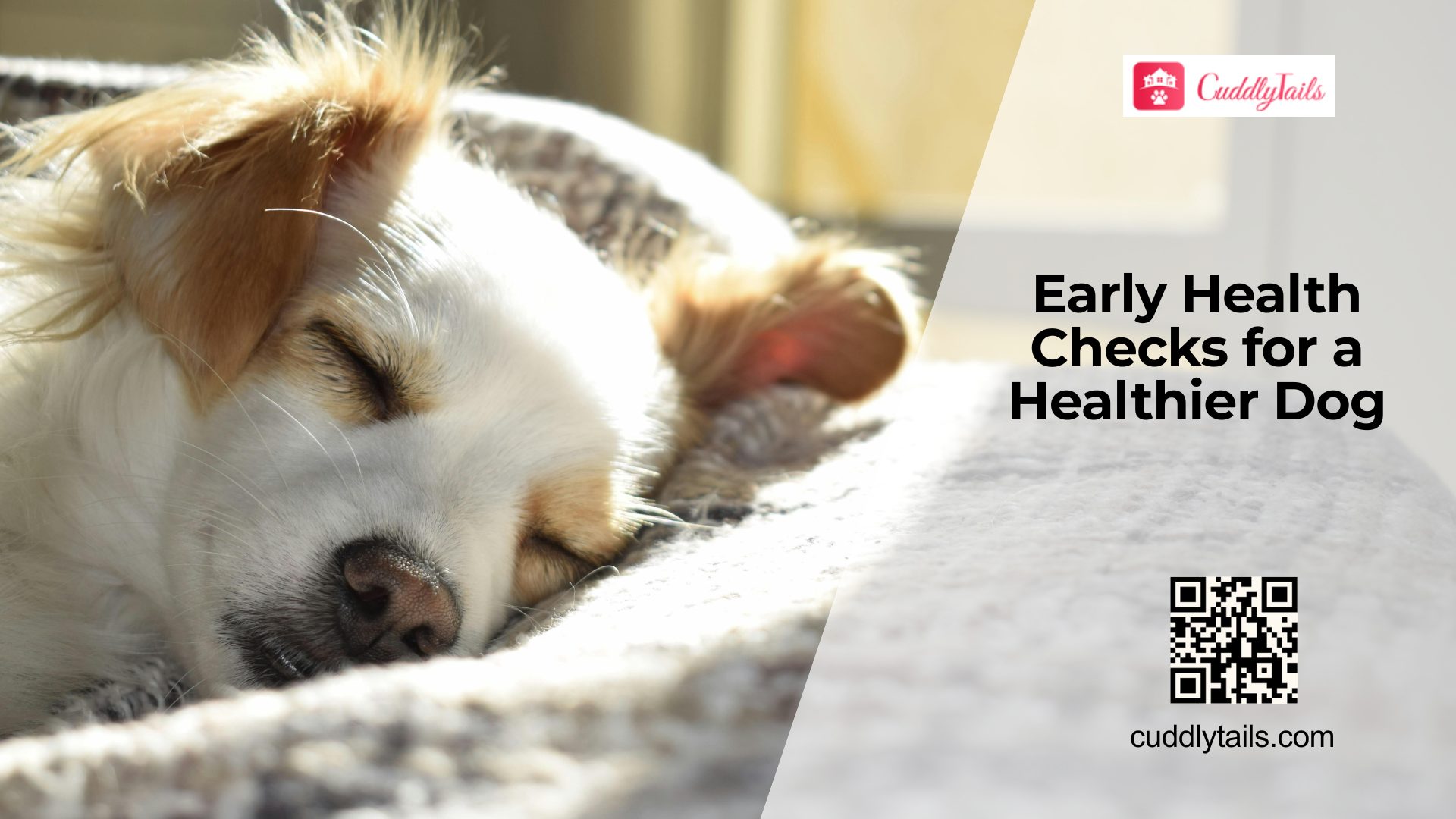 Preventive Health Screening Every Dog Owner Should Know