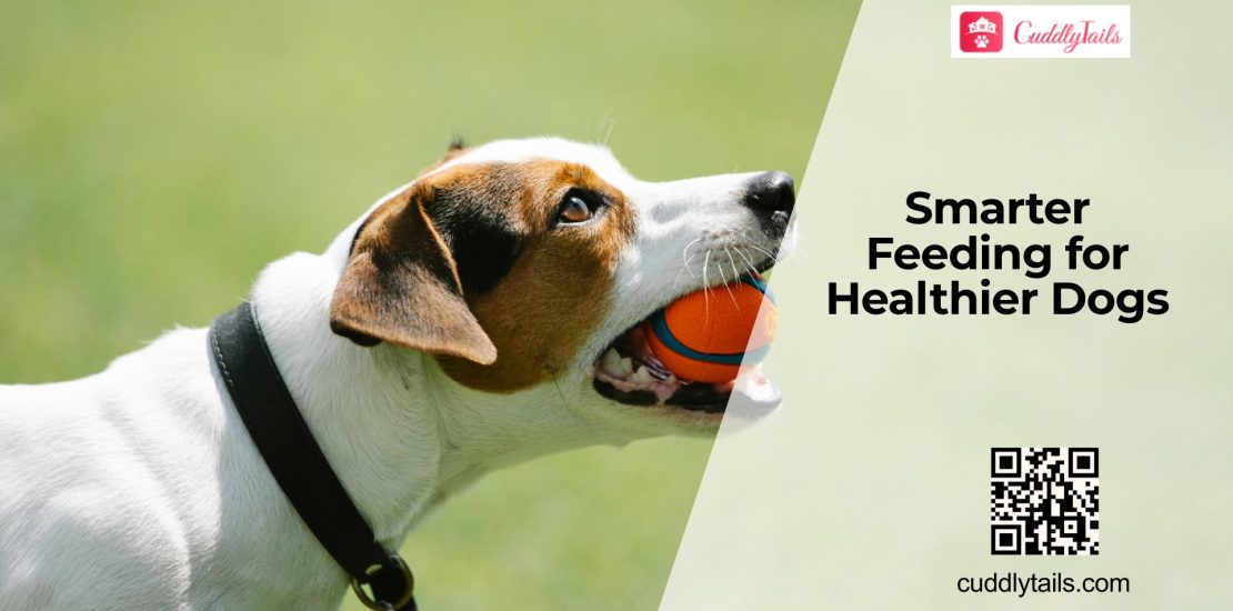 Personalized Nutrition Plans for Dogs