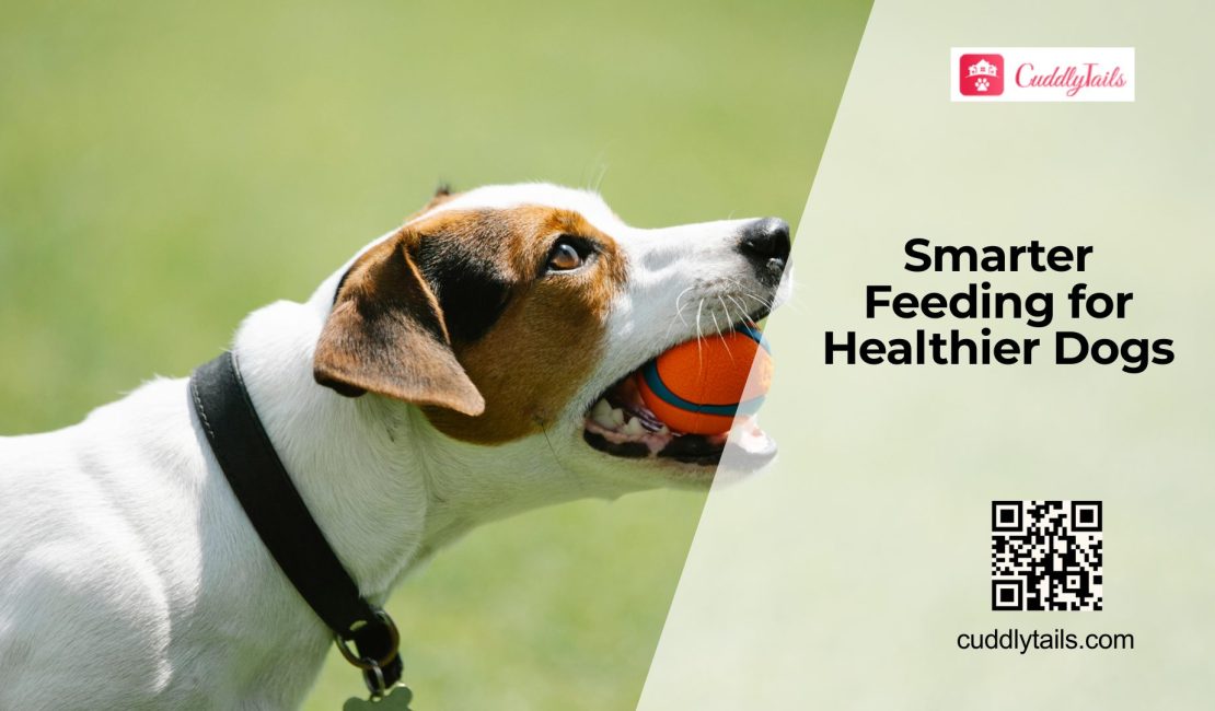 Personalized Nutrition Plans for Dogs