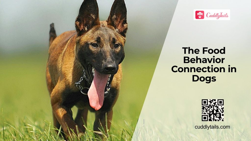 How Dog Food Affects Mood & Behavior - Cuddlytails