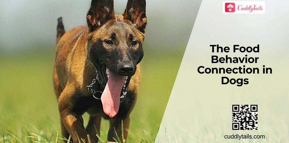 How Dog Food Affects Mood & Behavior