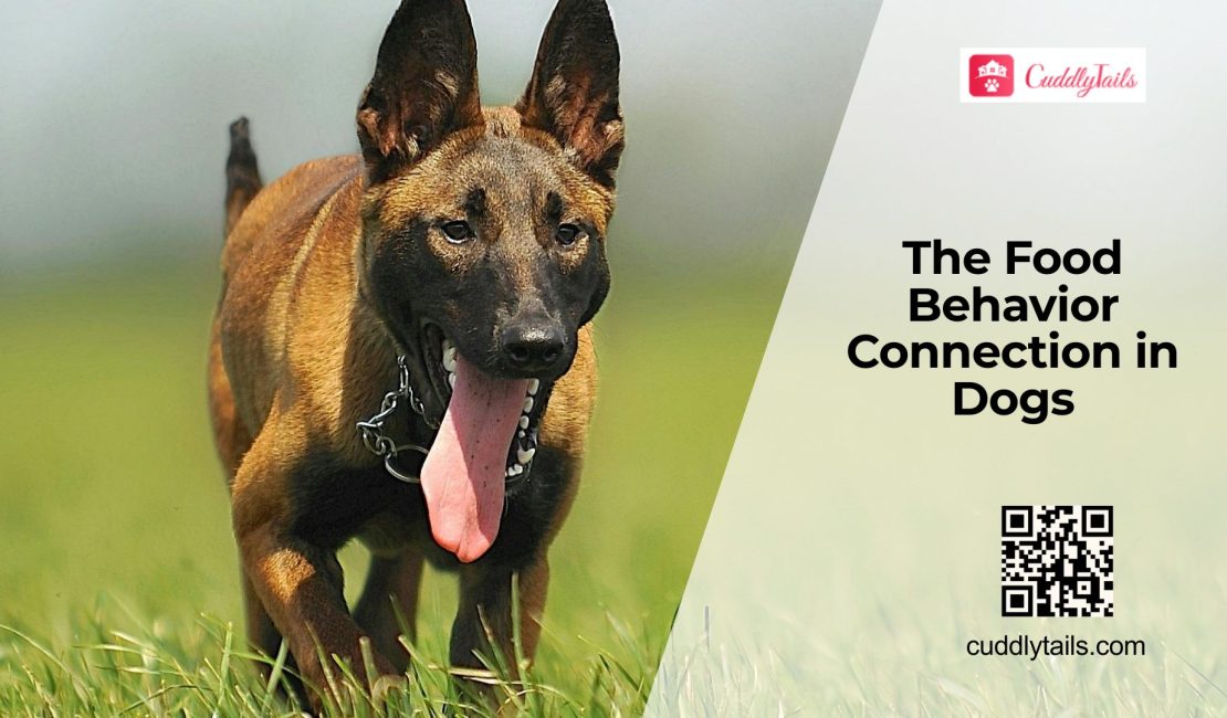 How Dog Food Affects Mood & Behavior