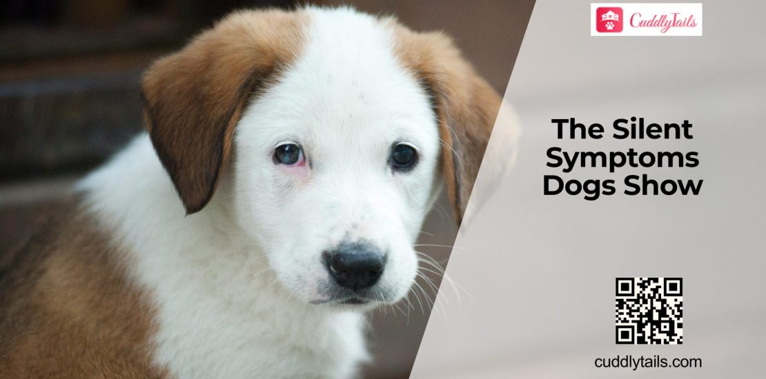 Silent Dog Symptoms Owners Often Miss
